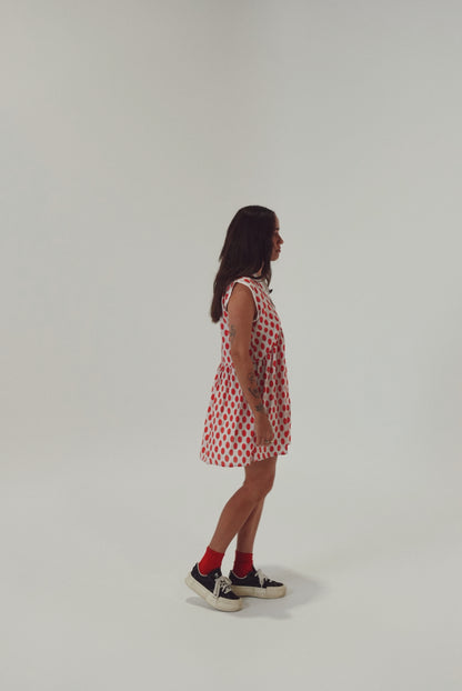 Pansy Mini - Lily Dot